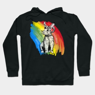 Rainbow Bunny Rambit Hoodie